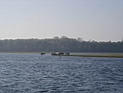 Witteveen-Reunie-13.JPG