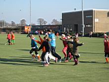 HIC-Training-F4-10.JPG